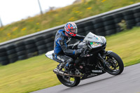 PJ-Motorsport-2019;anglesey-no-limits-trackday;anglesey-photographs;anglesey-trackday-photographs;enduro-digital-images;event-digital-images;eventdigitalimages;no-limits-trackdays;peter-wileman-photography;racing-digital-images;trac-mon;trackday-digital-images;trackday-photos;ty-croes